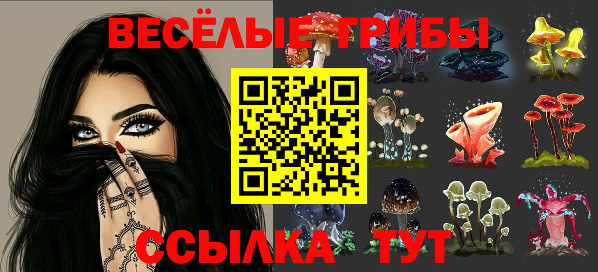 Шумерля  Галлюциногенные грибы MAGIC MUSHROOMS  Вход с VPN 