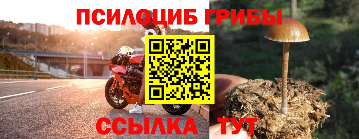 Галлюциногенные грибы GOLDEN TEACHER Шумерля